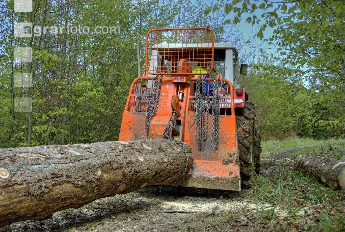Holzbringung 13