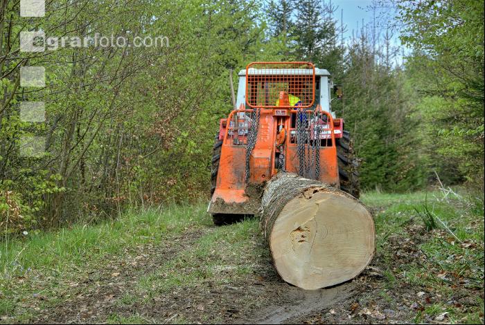 Holzbringung 12