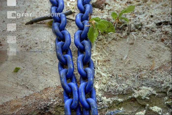 Holzbringung 10