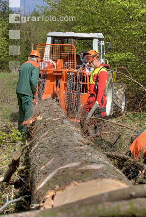 Holzbringung 19