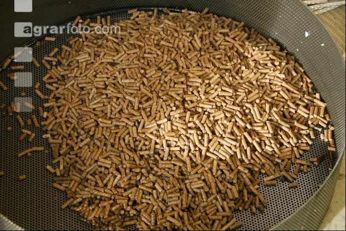 Pelletspresse 1