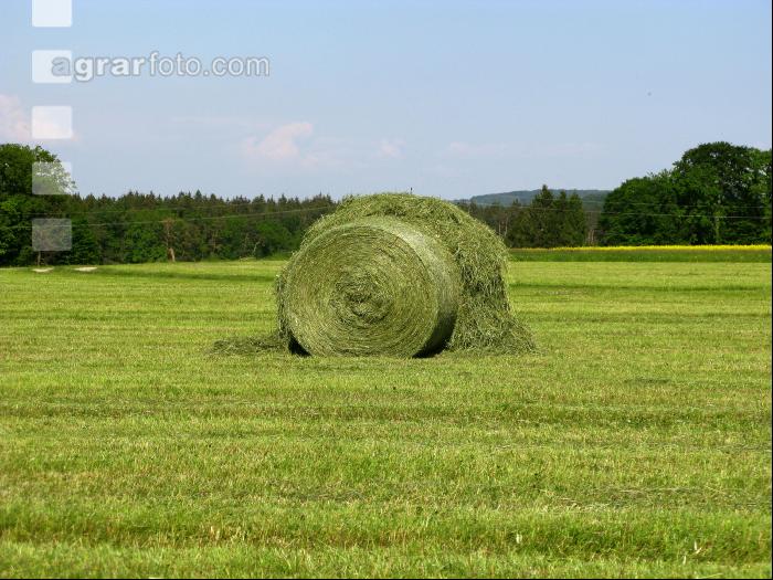 Rundballen kaputt