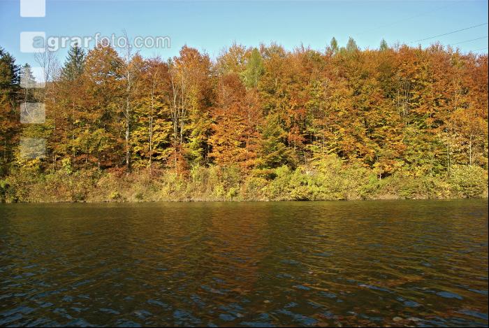 Stausee Klaus 8