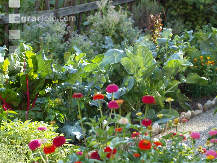 Bauerngarten 8