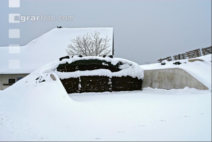 Fahrsilo Schnee 1