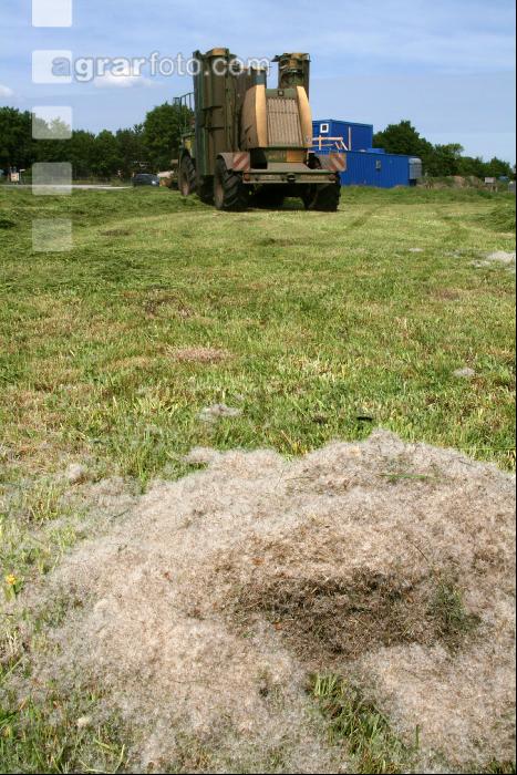 Gras mähen J 2