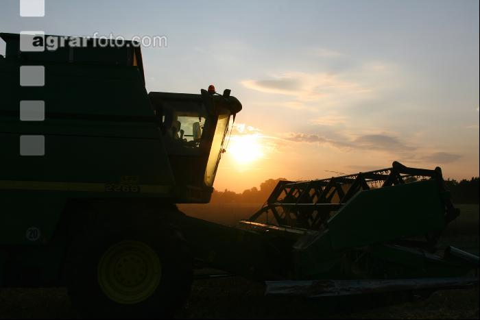 Roggen Ernte J 4