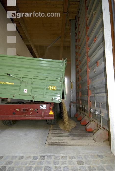Gerste Ablieferung 7