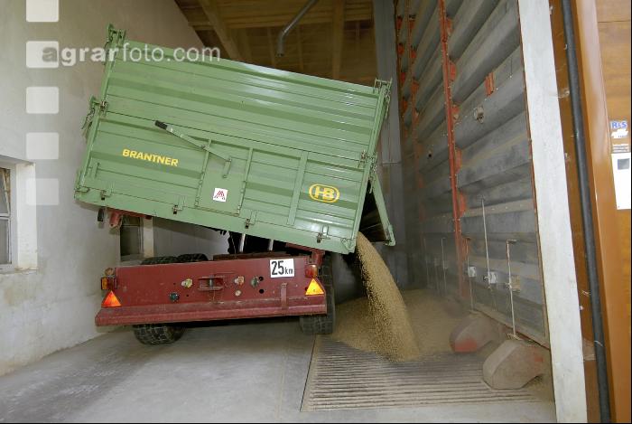 Gerste Ablieferung 8