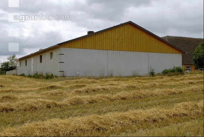 Schweinestall 3