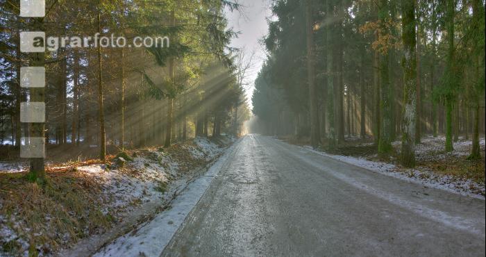 Lichtstrahlen 1
