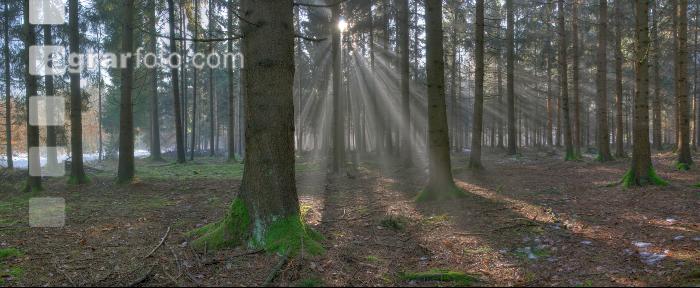 Lichtstrahlen 3