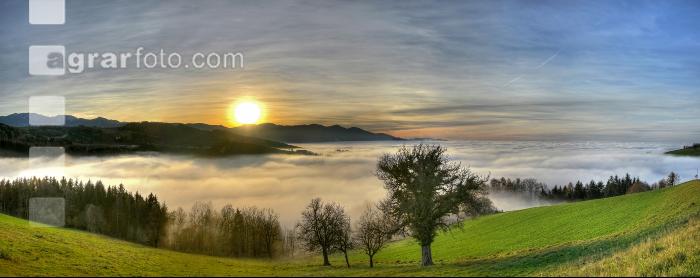 Nebel im Tal 2