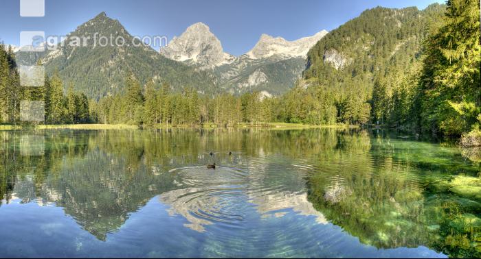 Schiederweiher