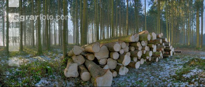 Holzstoss Panorama 3