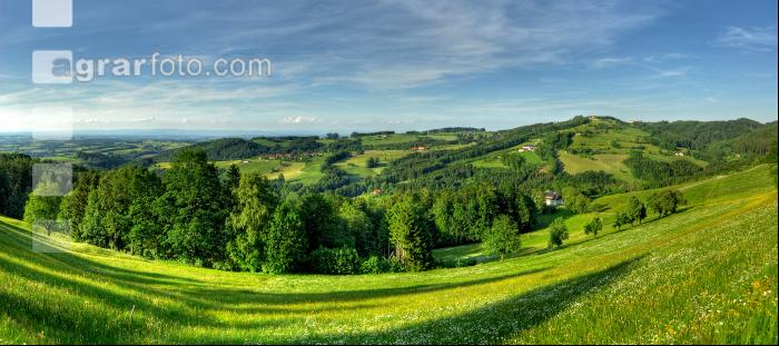 Nussbach