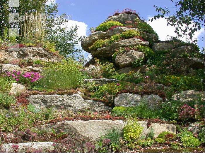 Steingarten 13