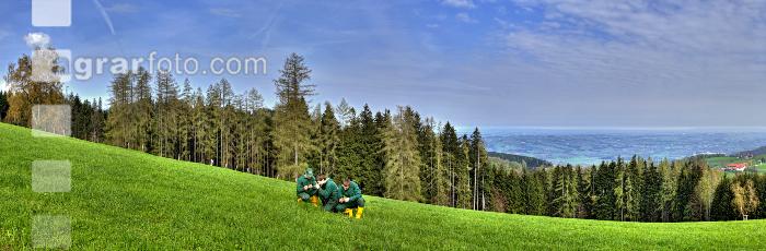 Wiese beurteilen 