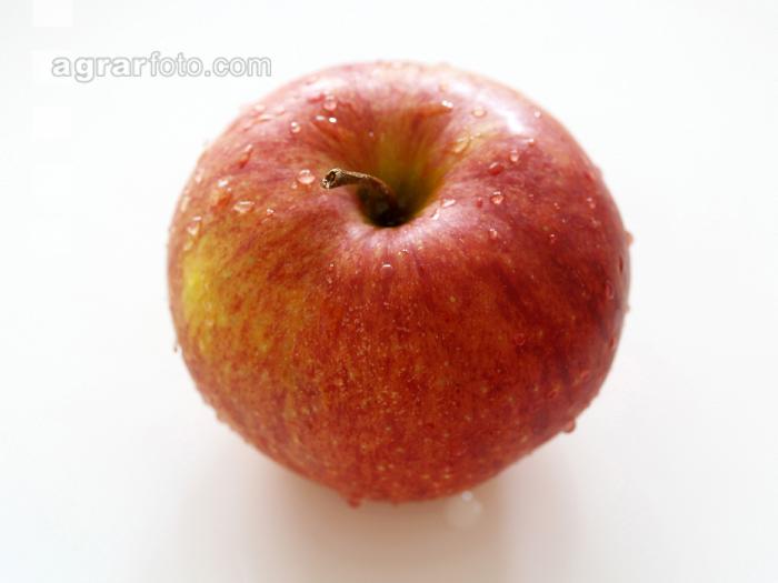 Apfel 1