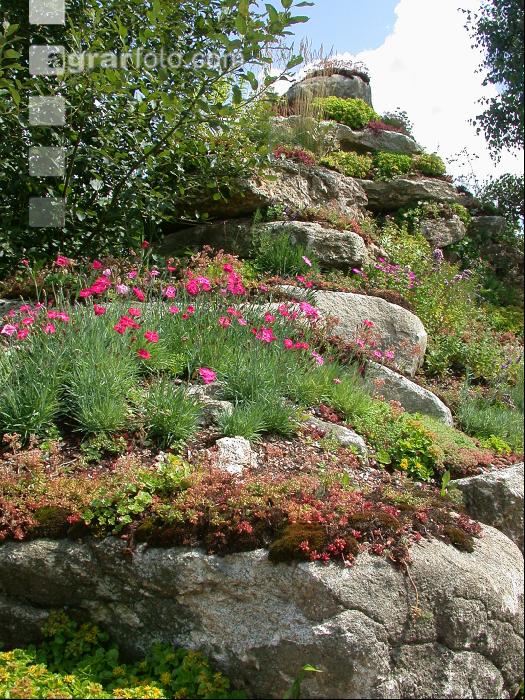 Steingarten 8