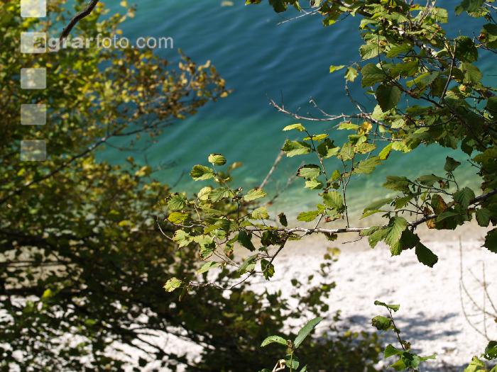 Wasser 1