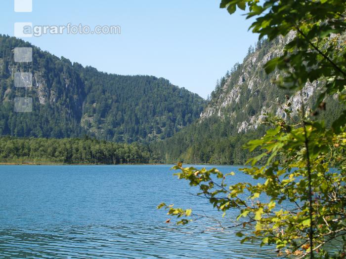 Almsee 3