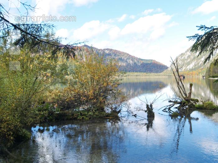 Almsee 11