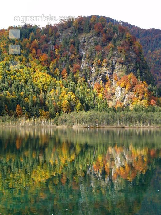 Almsee 9