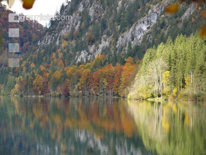 Almsee 10