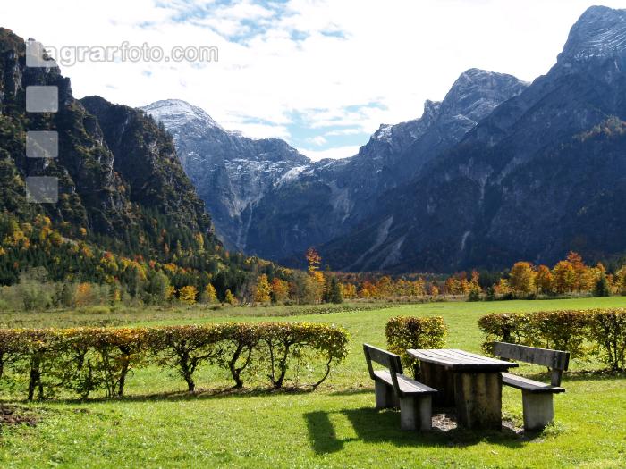 Almsee 4