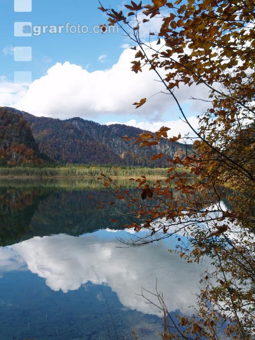 Almsee 2