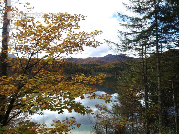 Almsee 8