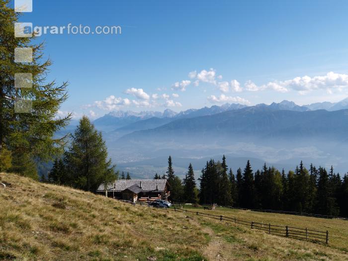 Pertinger Alm 2