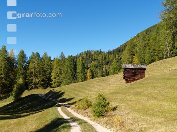 Dolomiten 15