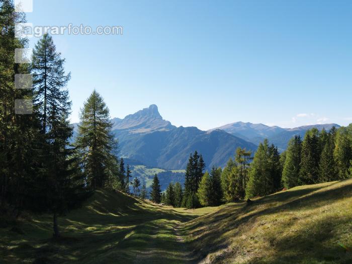 Dolomiten 12