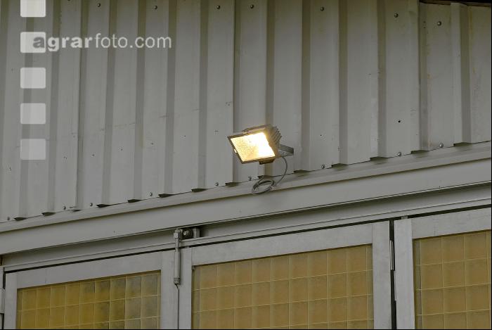 Stall Beleuchtung 1