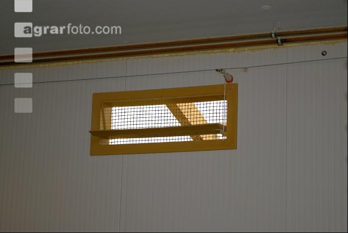 Stall Lüftung 8