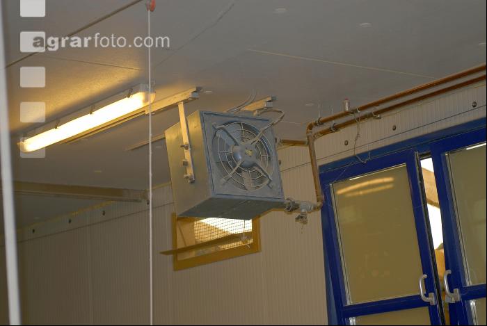 Stall Beleuchtung 4