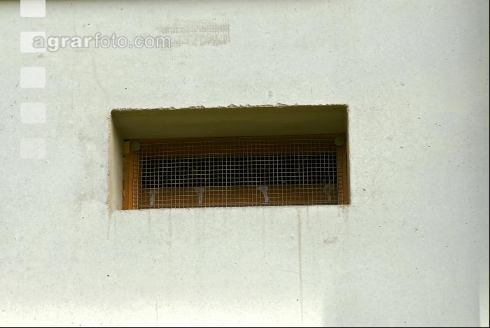 Stall Lüftung 6