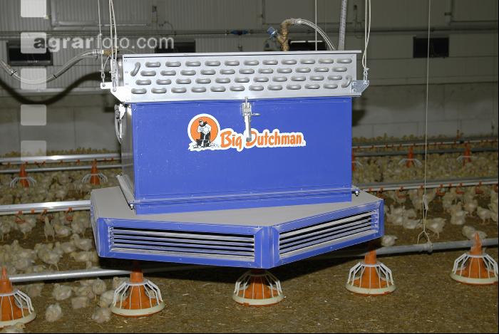 Mastküken Stall 4
