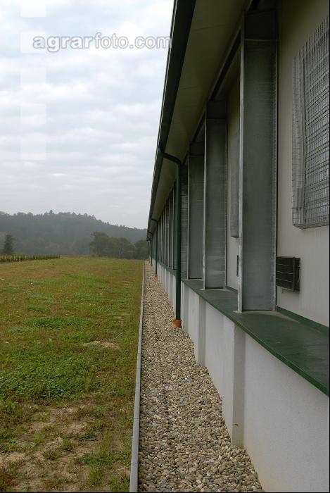 Hennenstall außen 1