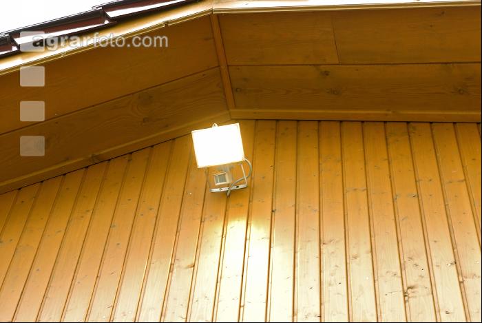 Stall Beleuchtung 7