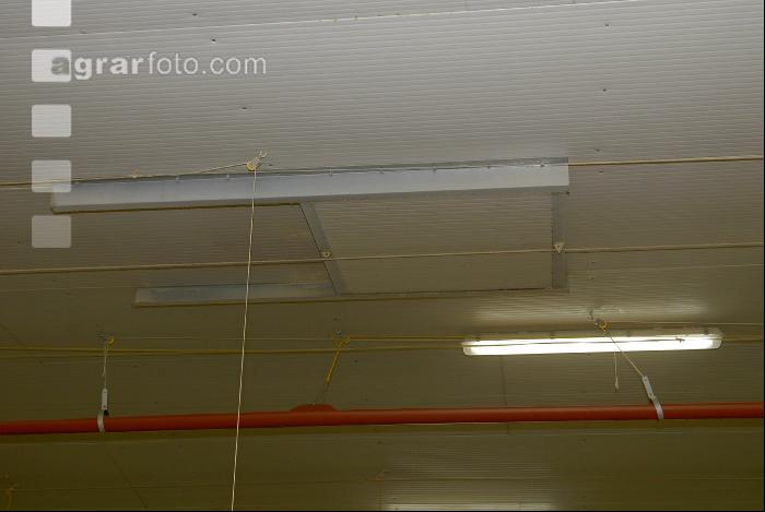 Stall Beleuchtung 9