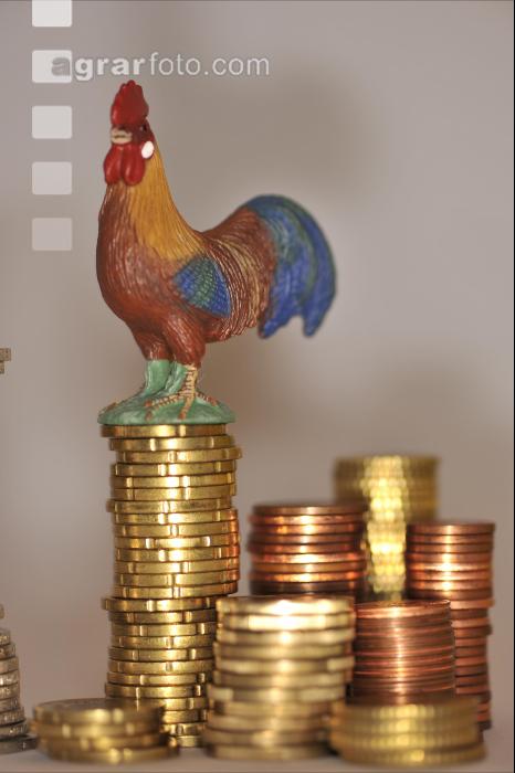 Finanzen Hühner 15