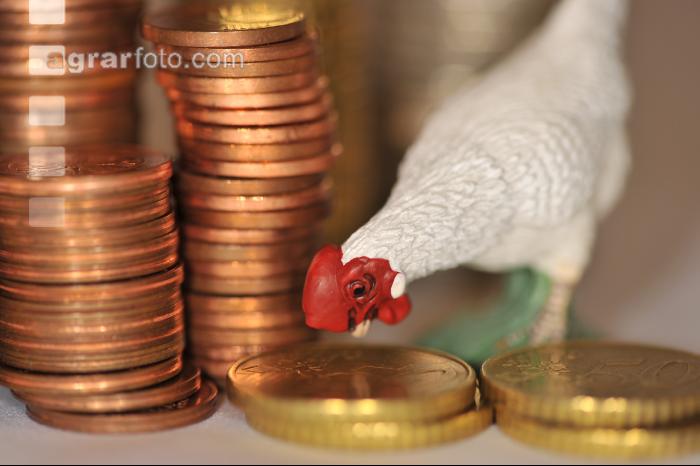 Finanzen Hühner 16