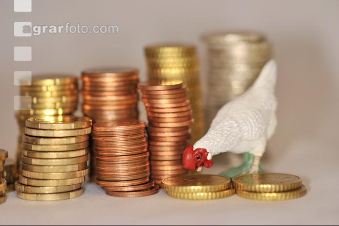 Finanzen Hühner 18