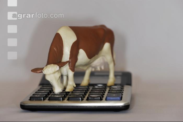 Finanzen Rinder 10