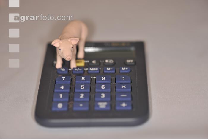 Finanzen Schweine 1