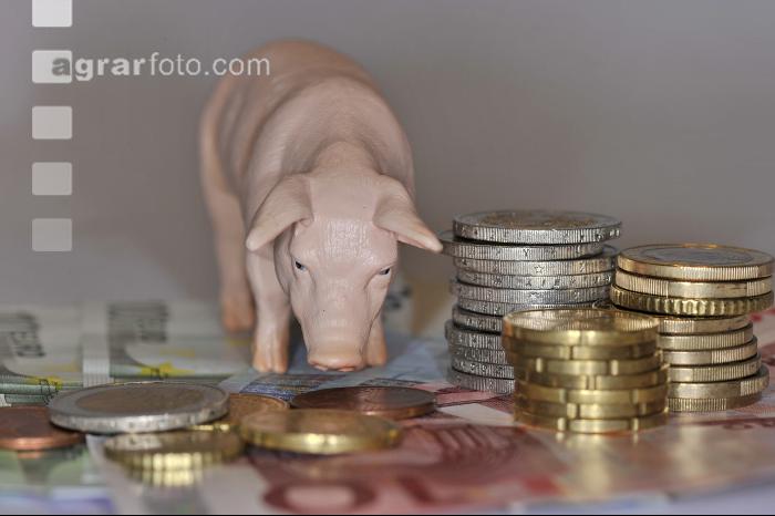 Finanzen Schweine 14
