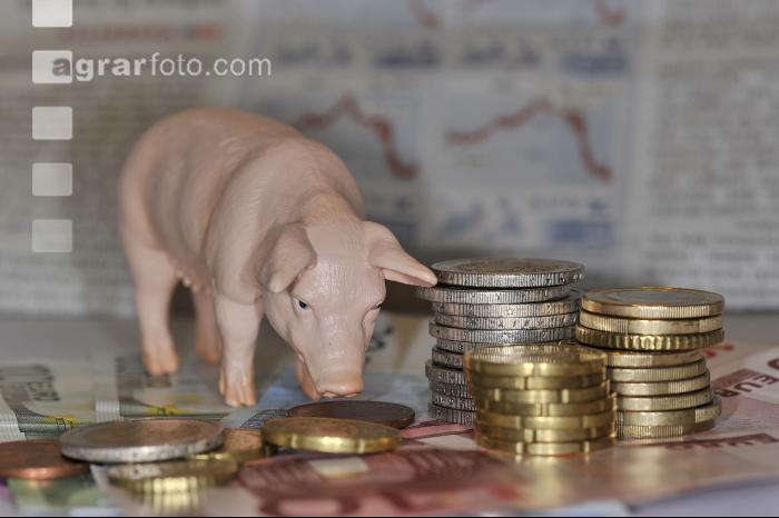 Finanzen Schweine 16
